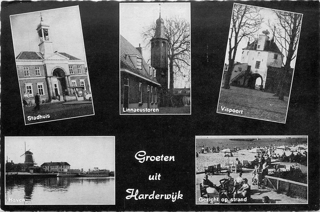 Harderwijk Groeten uit