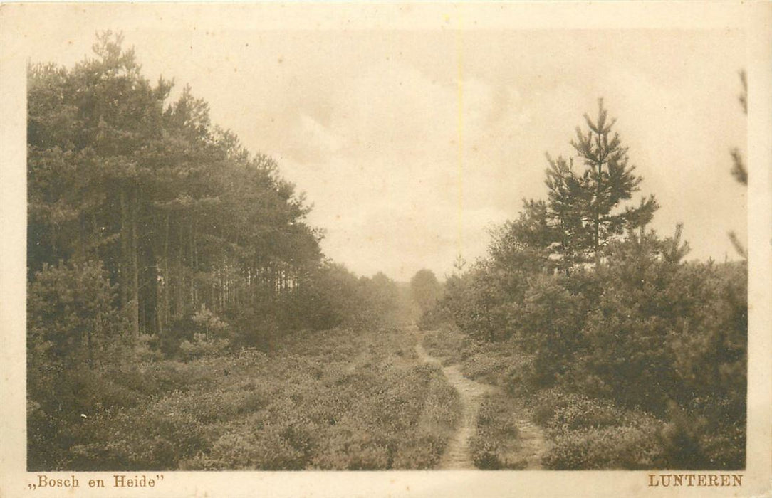 Lunteren Bosch en Heide