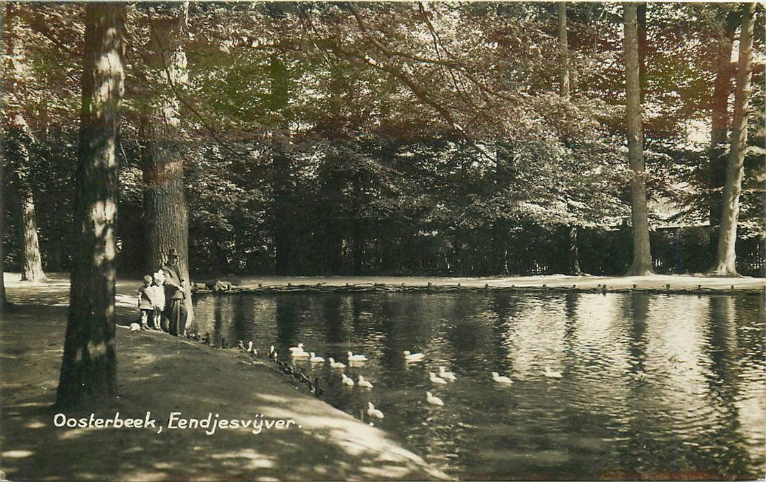 Oosterbeek Eendjesvijver