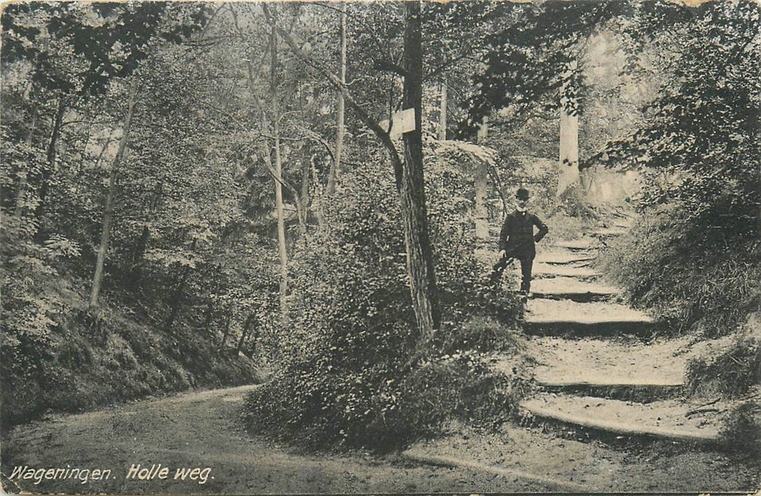 Wageningen Holle Weg