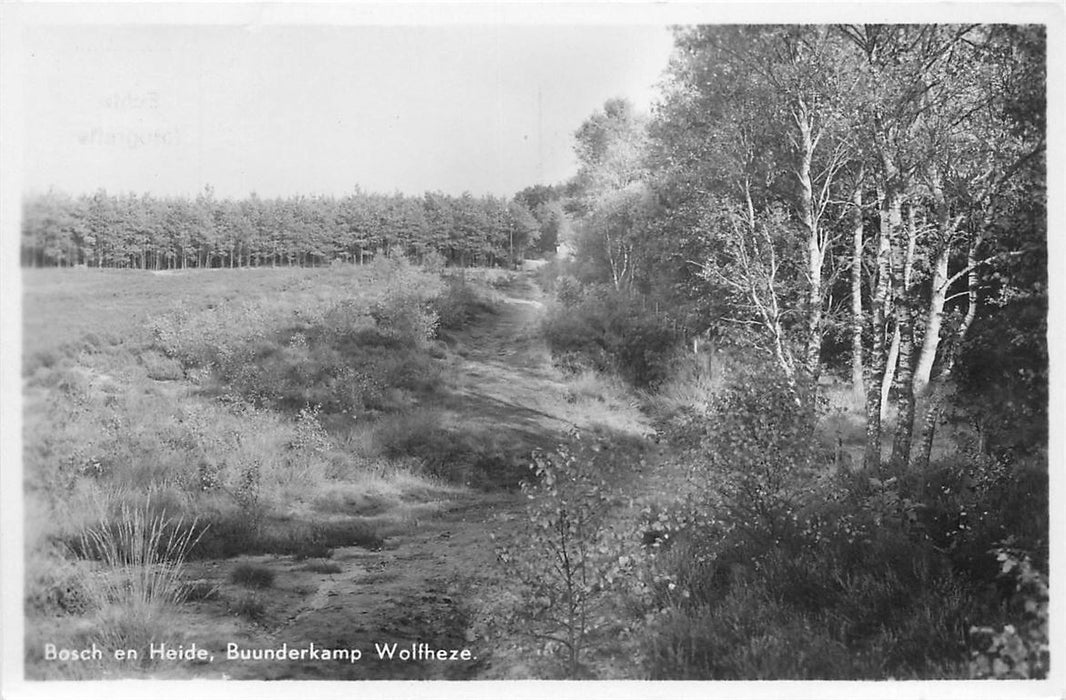 Wolfheze Bosch en Heide