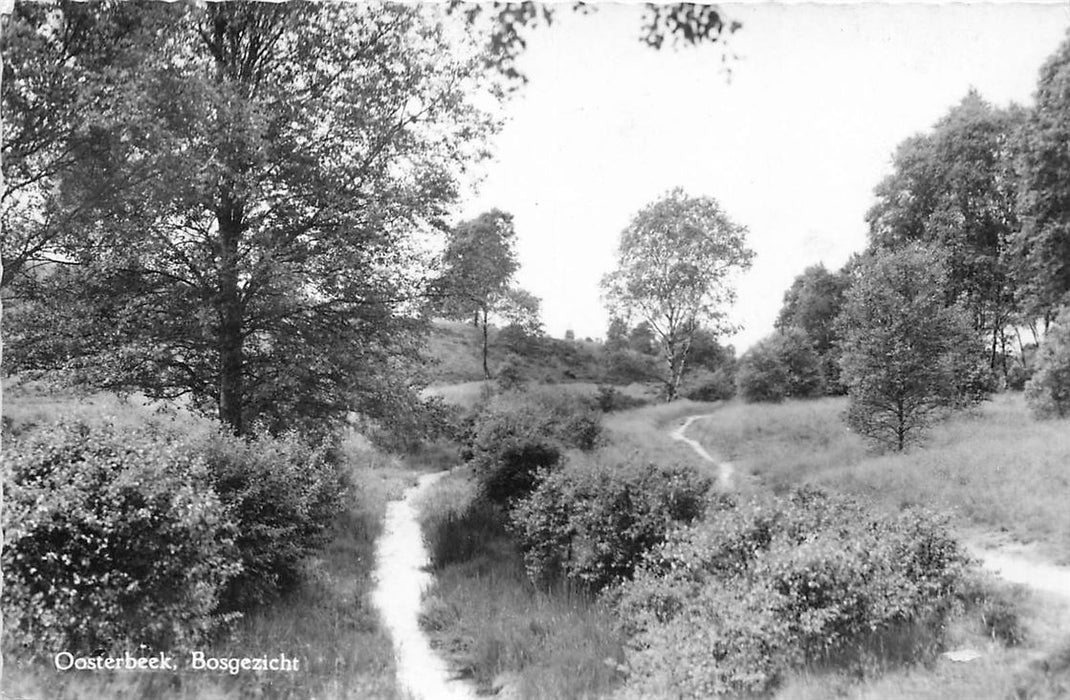 Oosterbeek Bosgezicht