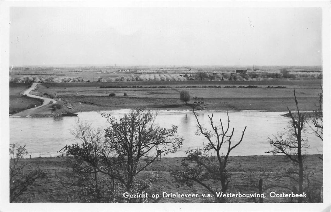 Oosterbeek Gezicht op Drielseveer