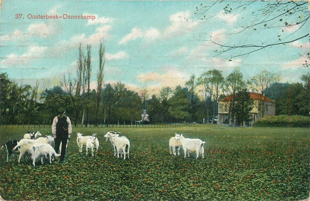 Oosterbeek Dennekamp