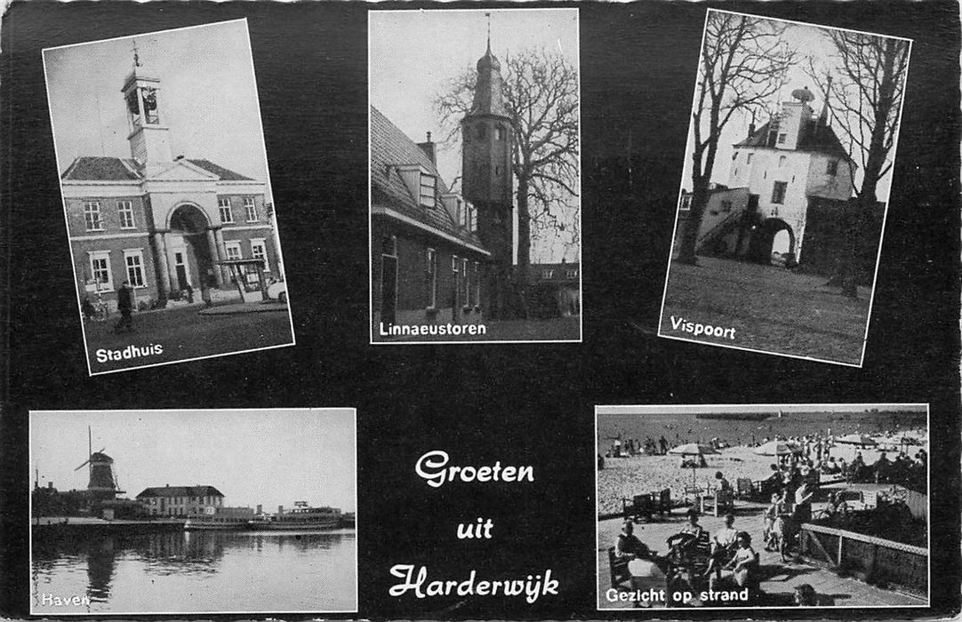 Harderwijk Groeten uit