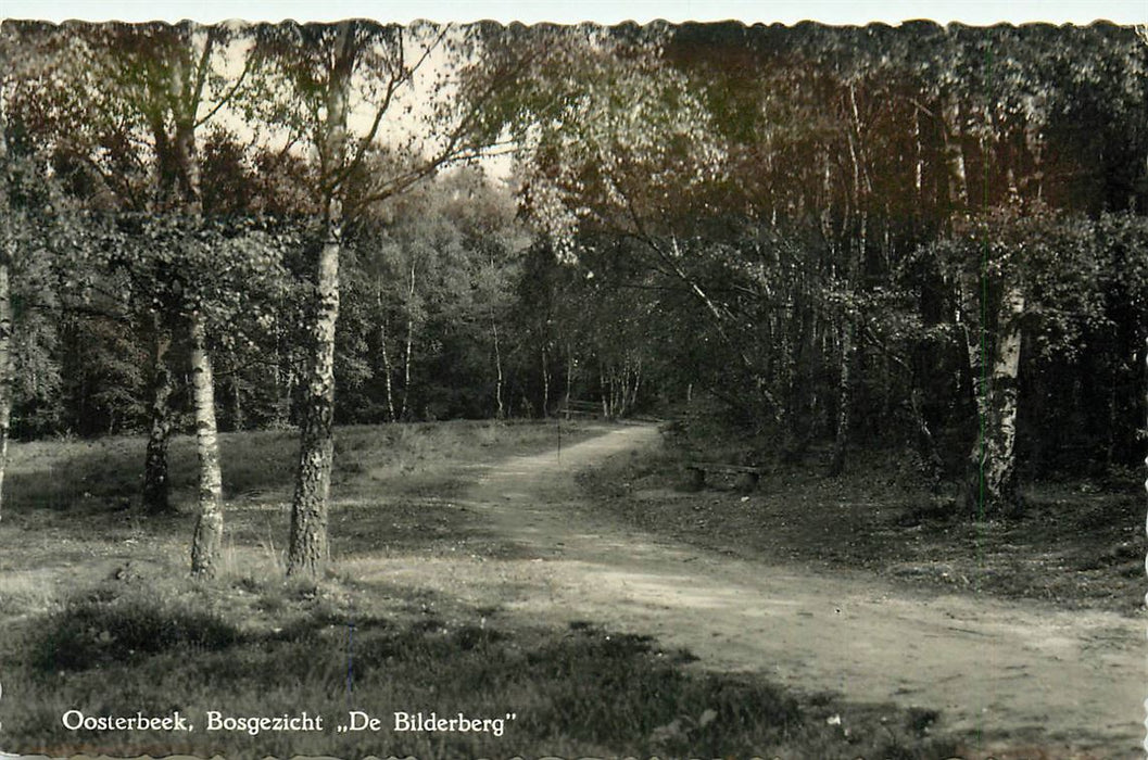 Oosterbeek Bosgezicht de Bilderberg