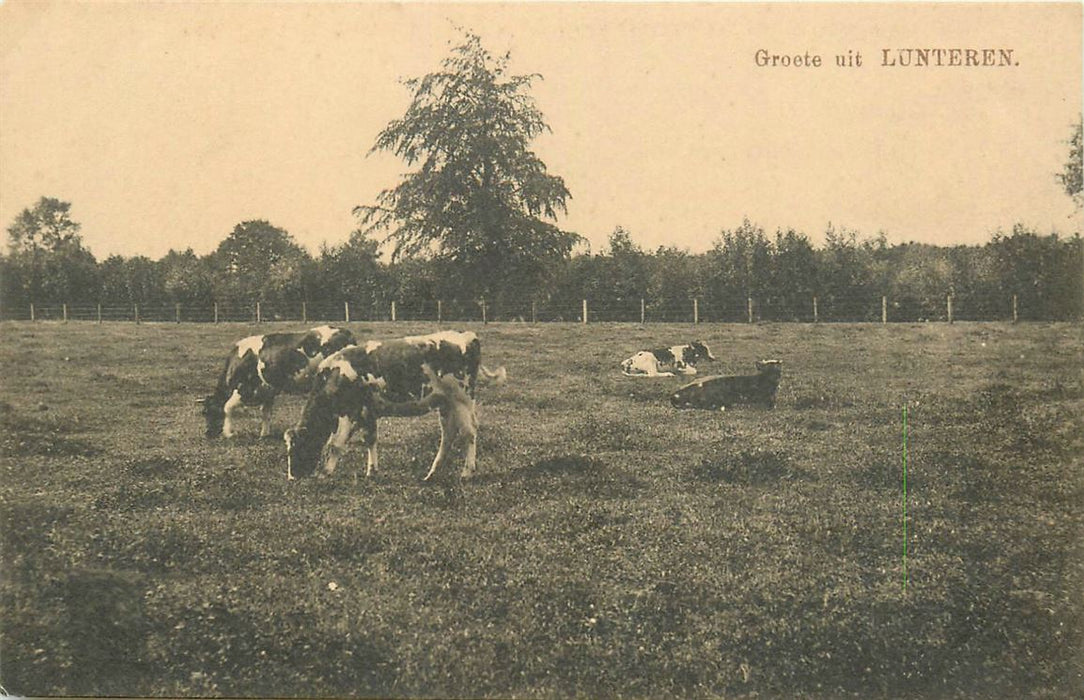 Lunteren Groete uit