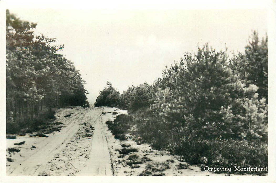 Zeddam Omgeving Montferland