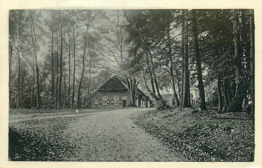 Zeddam Berg Montferland