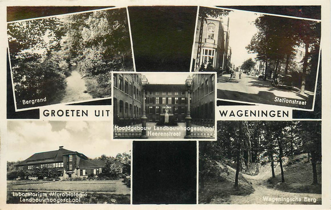 Wageningen Groeten uit