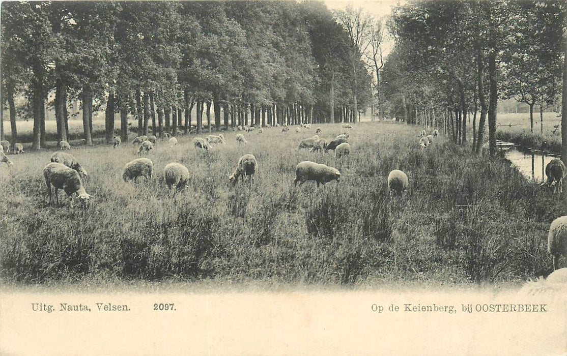 Oosterbeek Op de Keienberg