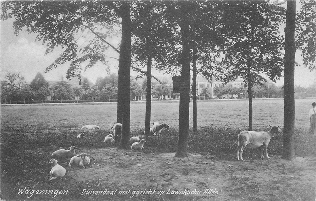 Wageningen Duivendaal