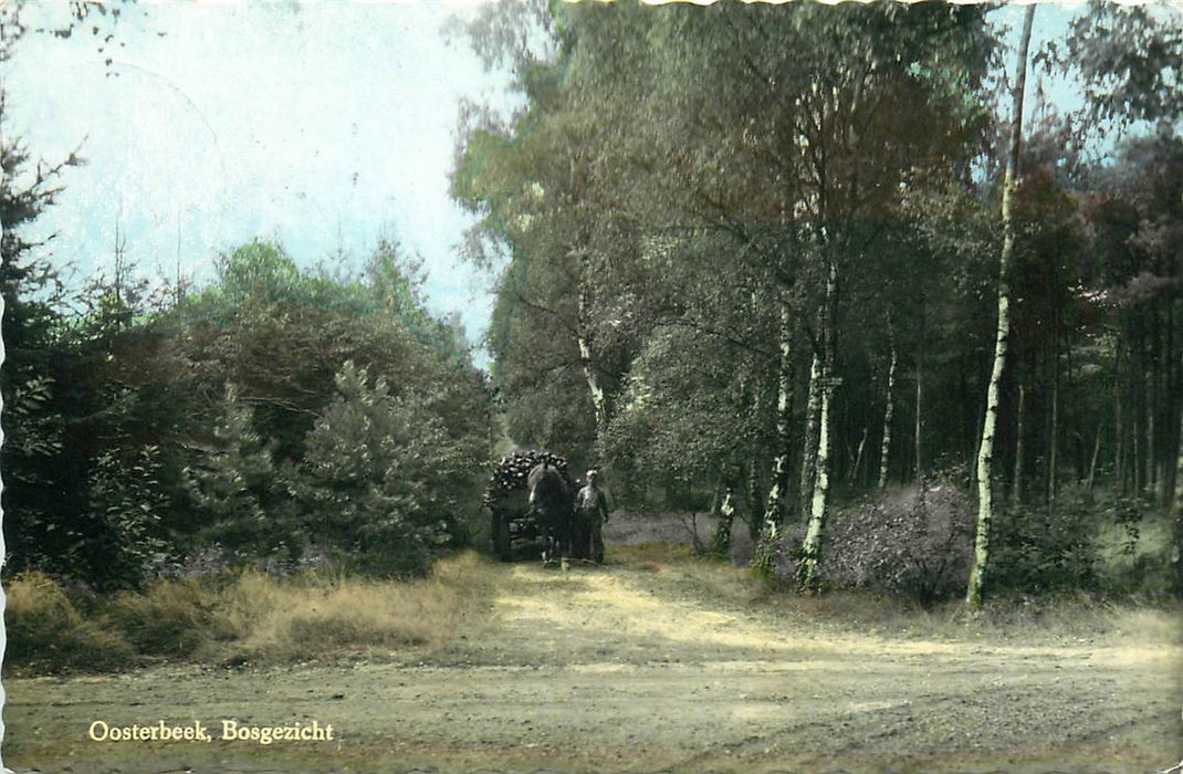 Oosterbeek Bosgezicht