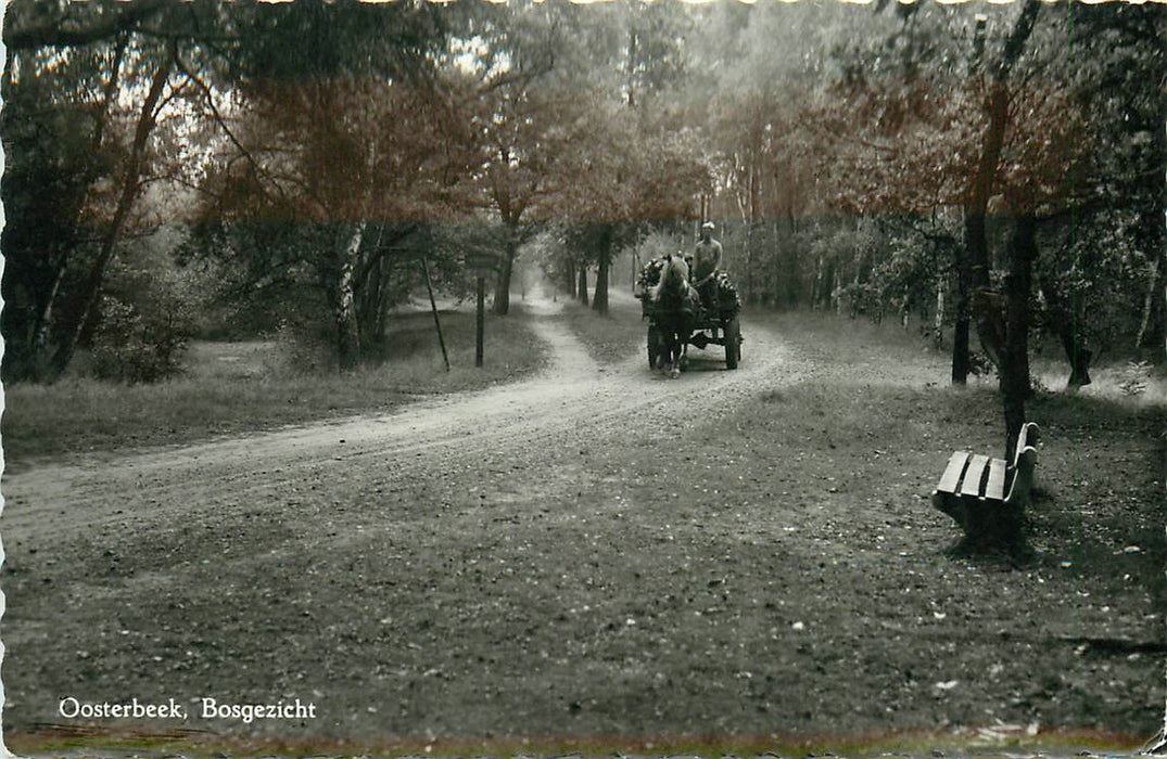 Oosterbeek Bosgezicht