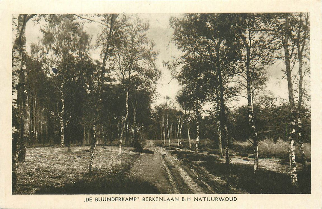 Wolfheze De Buunderkamp