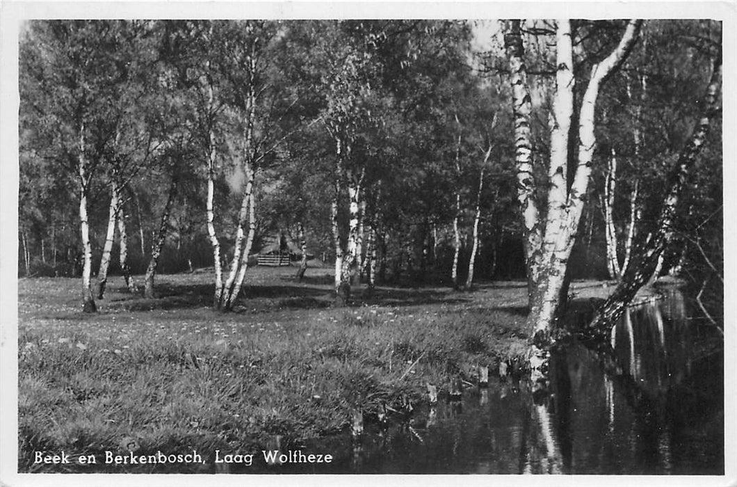 Wolfheze Beek en Berkenbosch