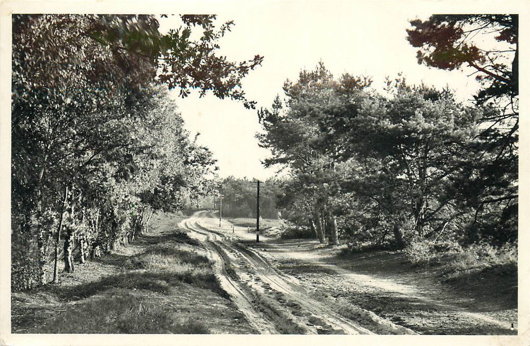 Lunteren Hessenweg