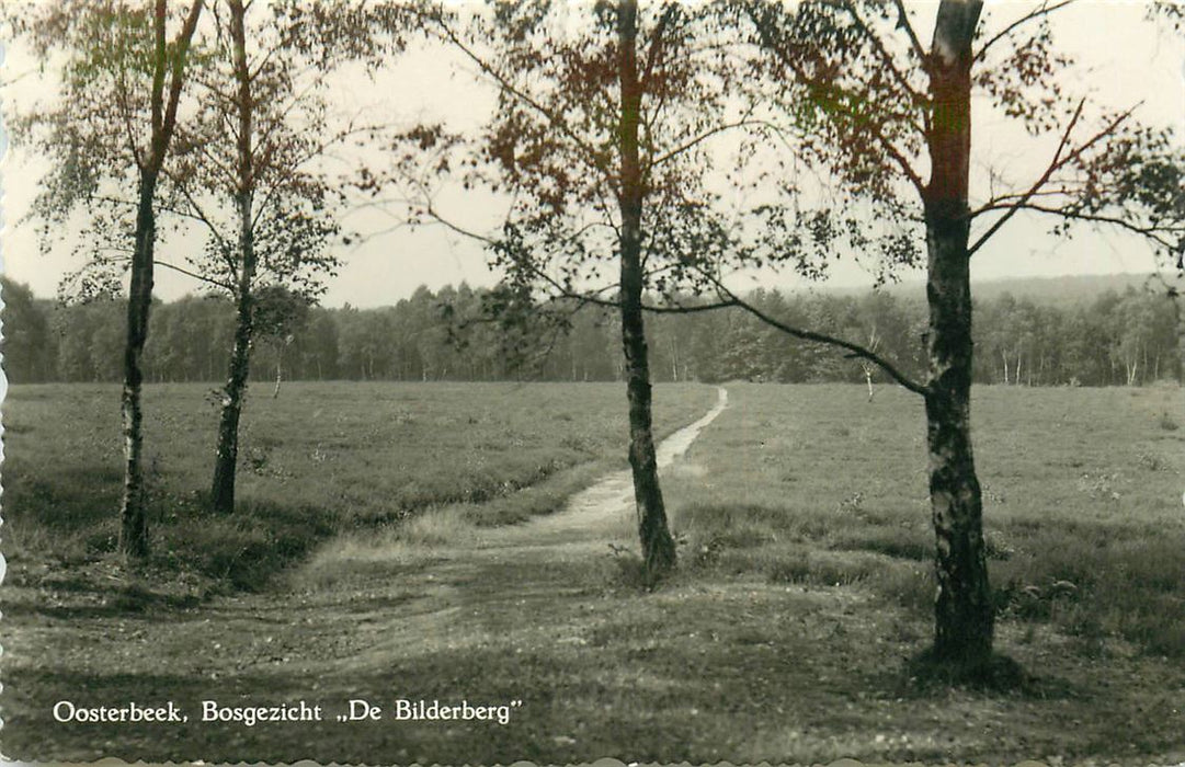 Oosterbeek De Bilderberg