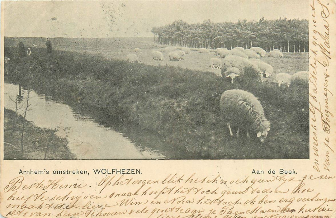 Wolfheze Aan de Beek