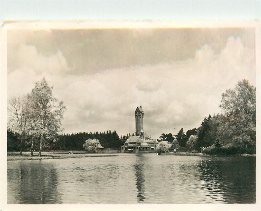 Veluwe De Hoge Veluwe