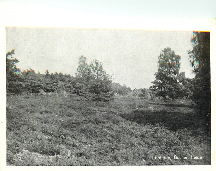 Lunteren Bos en heide