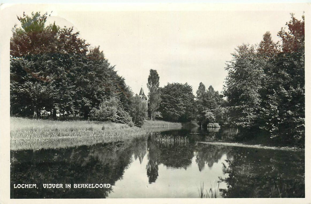 Lochem Vijver in Berkeloord