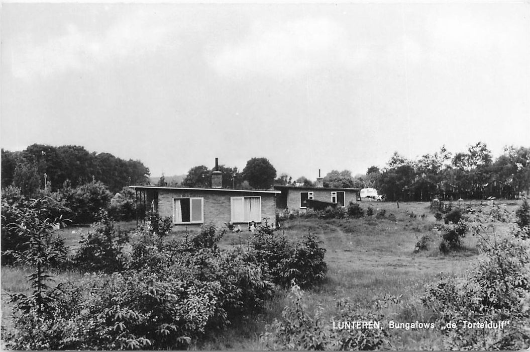 Lunteren de tortelduif