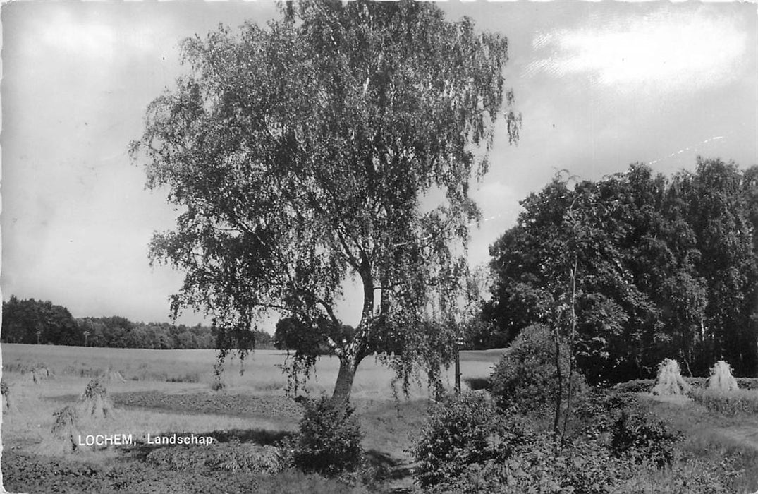 Lochem Landschap