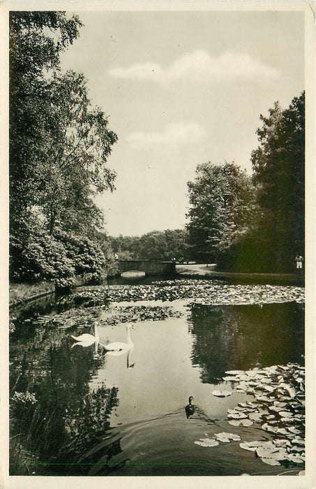 Hoenderloo De hoge Veluwe