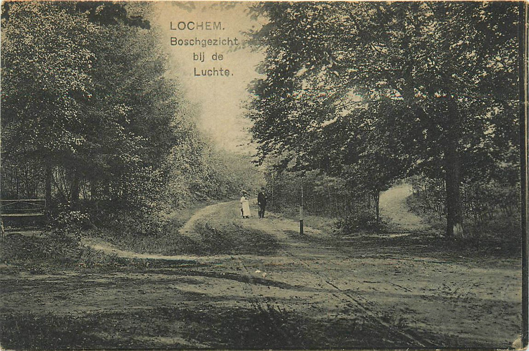 Lochem Boschgezicht