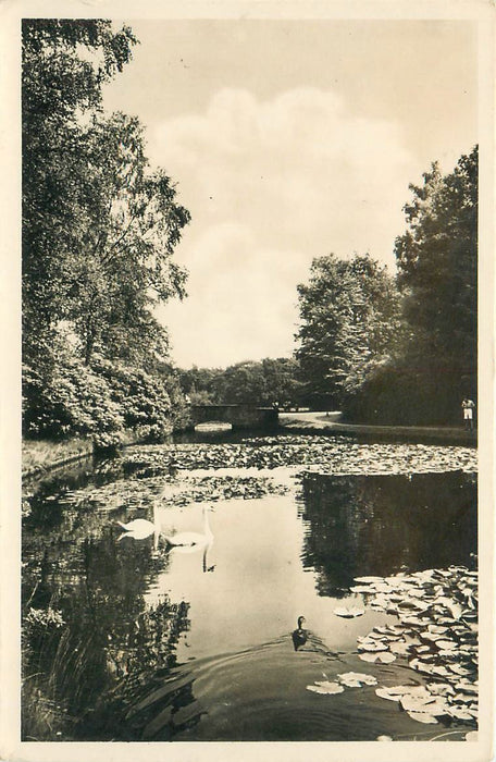 Hoenderloo De hoge Veluwe