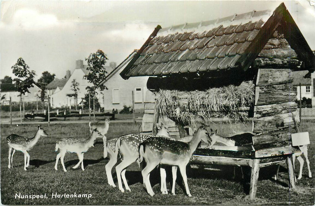 Nunspeet Hertenkamp