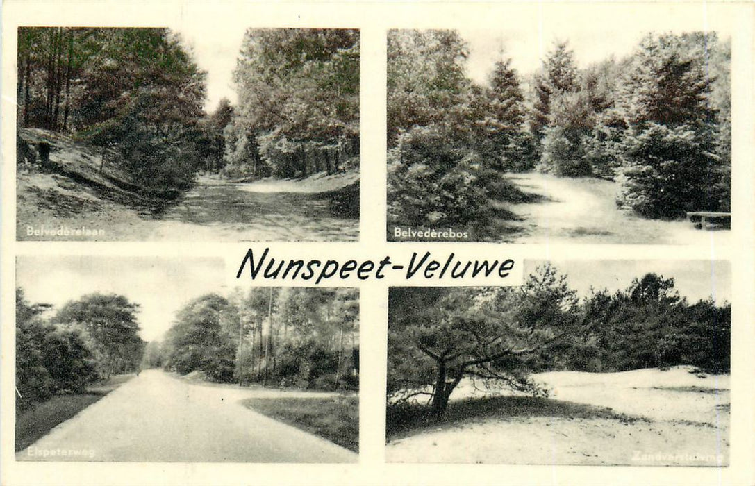 Nunspeet Veluwe