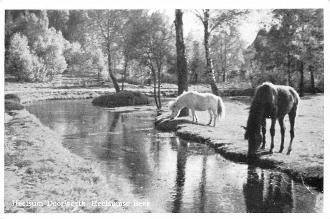 Heelsum Heelsumse Beek