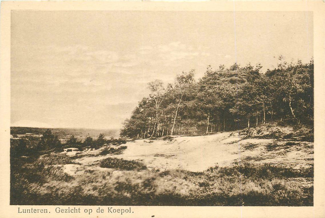 Lunteren Gezicht op de Koepel