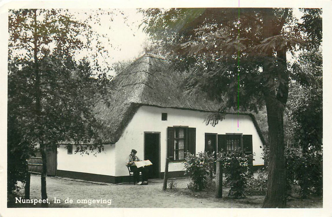 Nunspeet In de omgeving