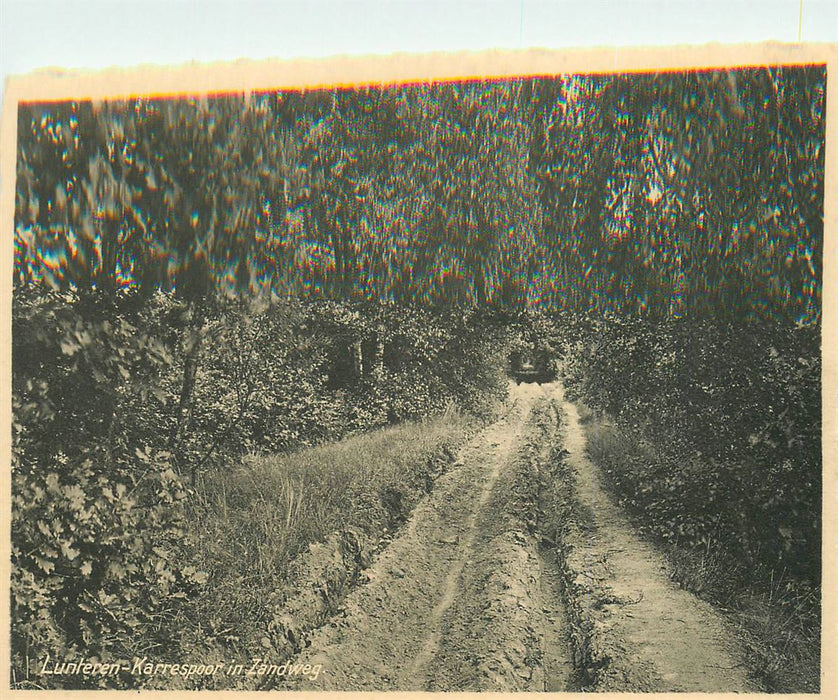 Lunteren Karrespoor in Zandweg