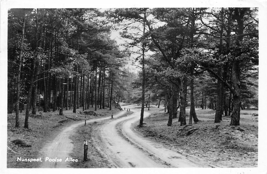 Nunspeet Poolse Allee