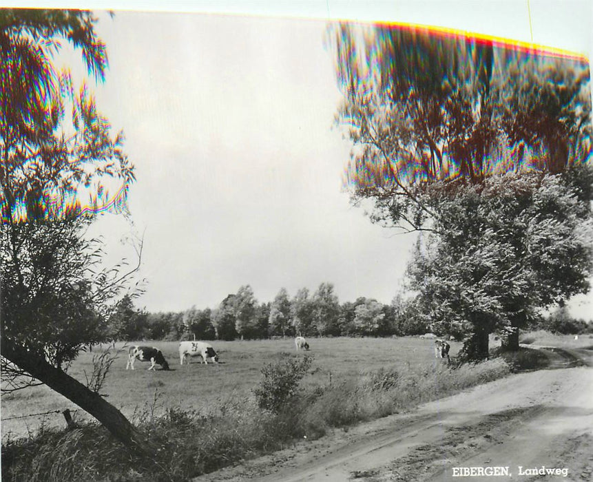 Eibergen Landweg