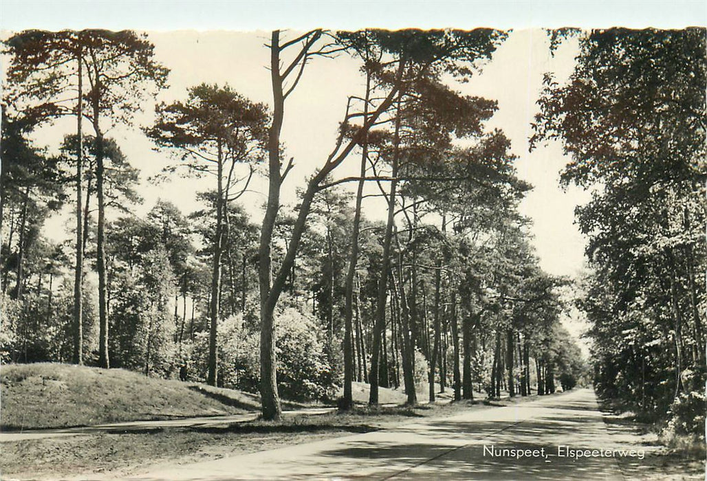 Nunspeet Elspeeterweg