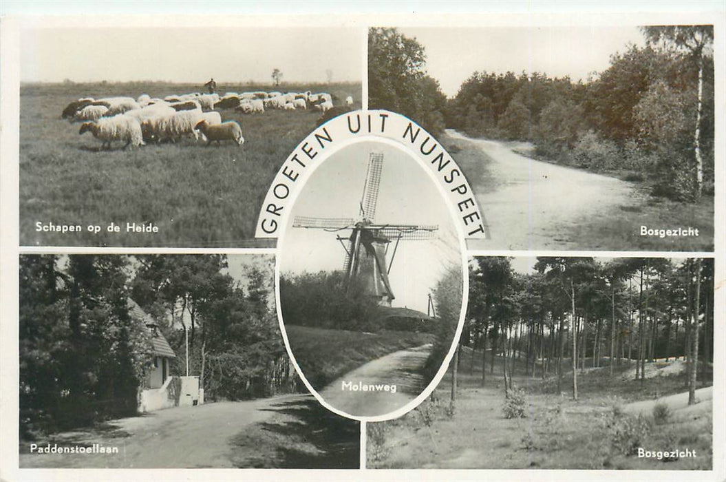 Nunspeet Groeten uit