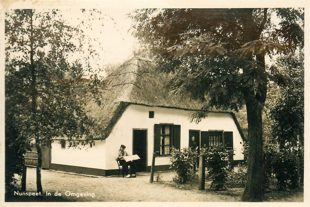 Nunspeet In de omgeving