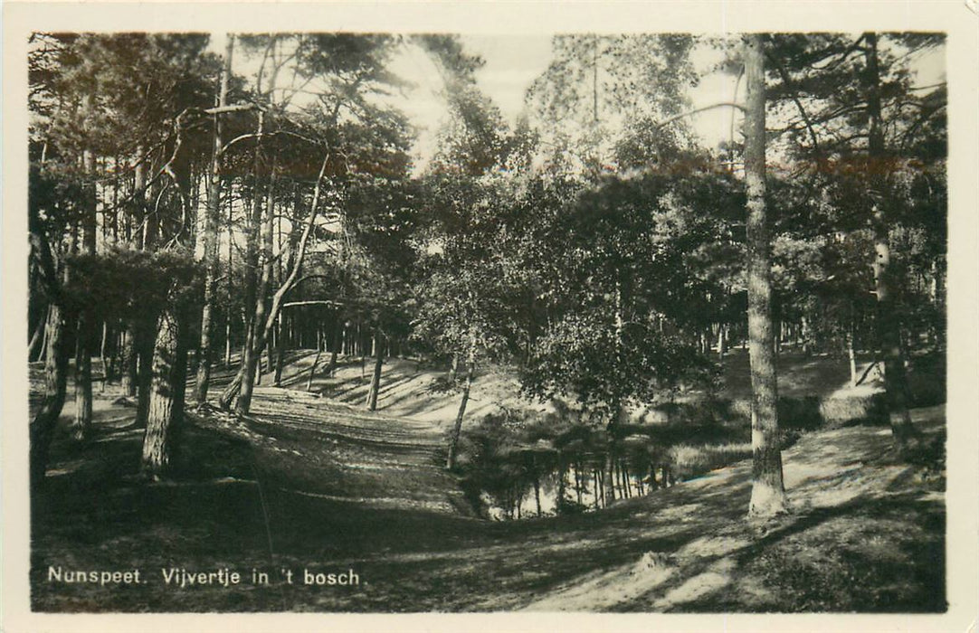 Nunspeet Vijvertje in t Bosch