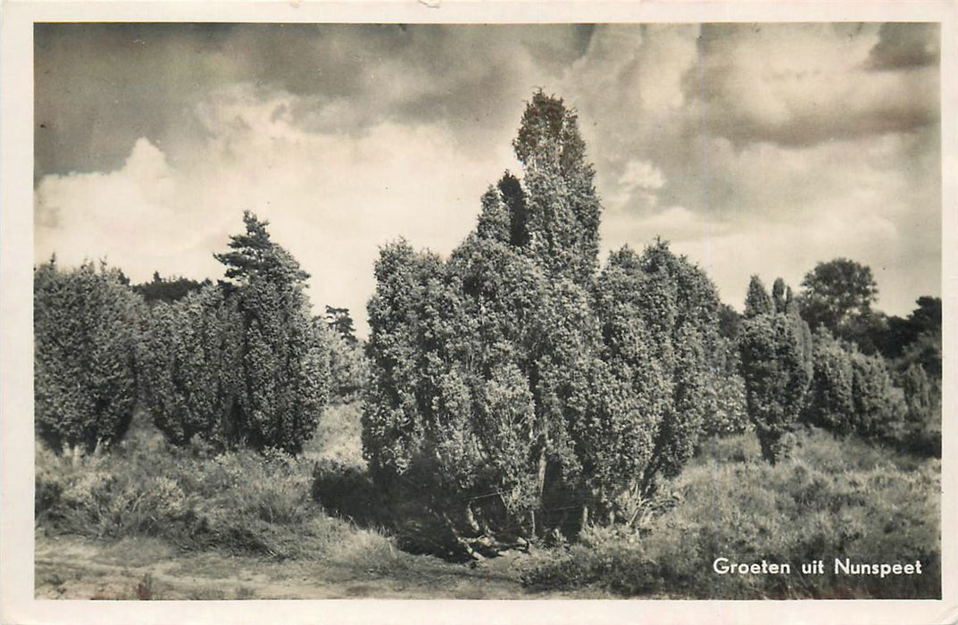 Nunspeet Groeten uit