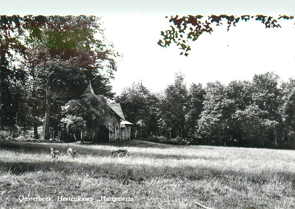 Oosterbeek Hertenkamp Hartenstein