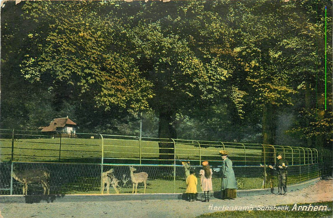 Arnhem Hertenkamp