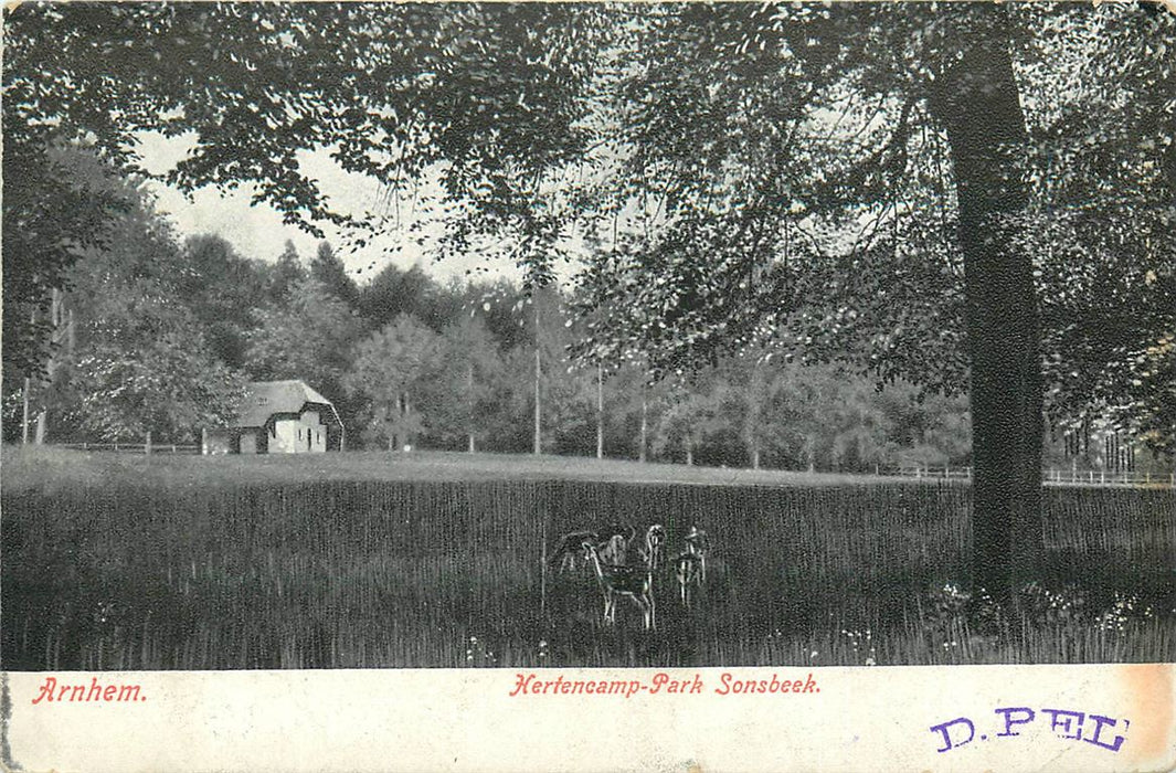 Arnhem Hertenkamp