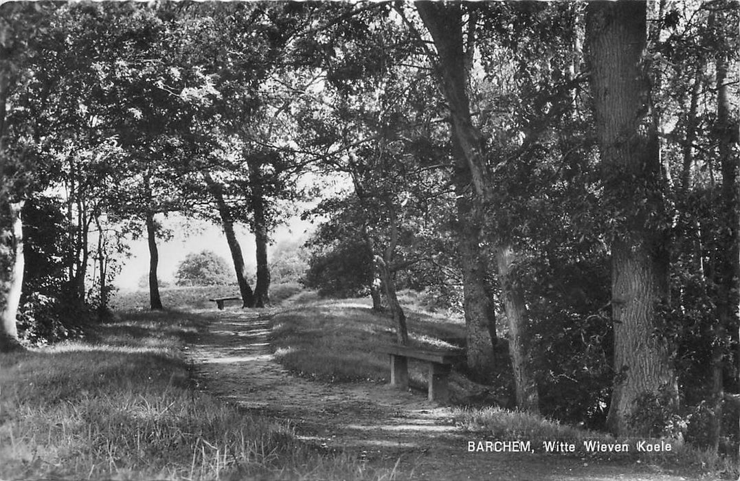 Barchem Witte Wieven Koele