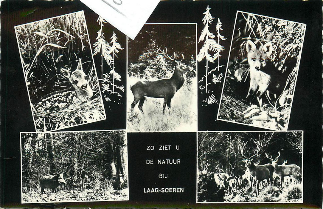 Laag-Soeren Natuur