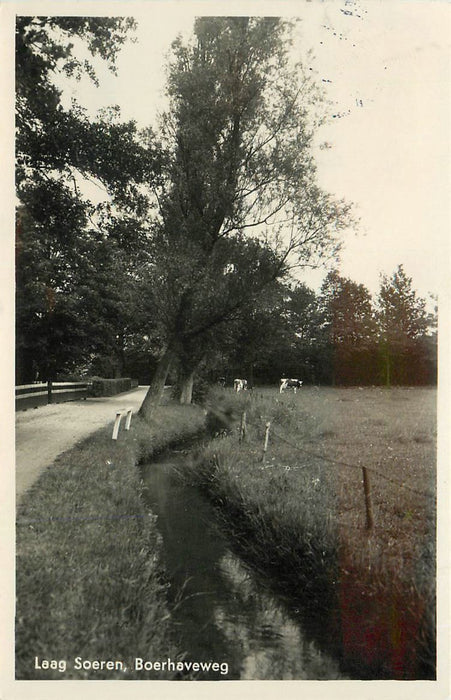 Laag-Soeren Boerhaveweg